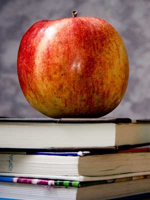 找个批发价的DDOS网页端平台